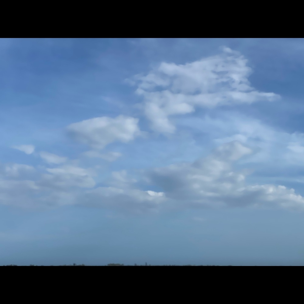 Meet your Posher, Sebastian